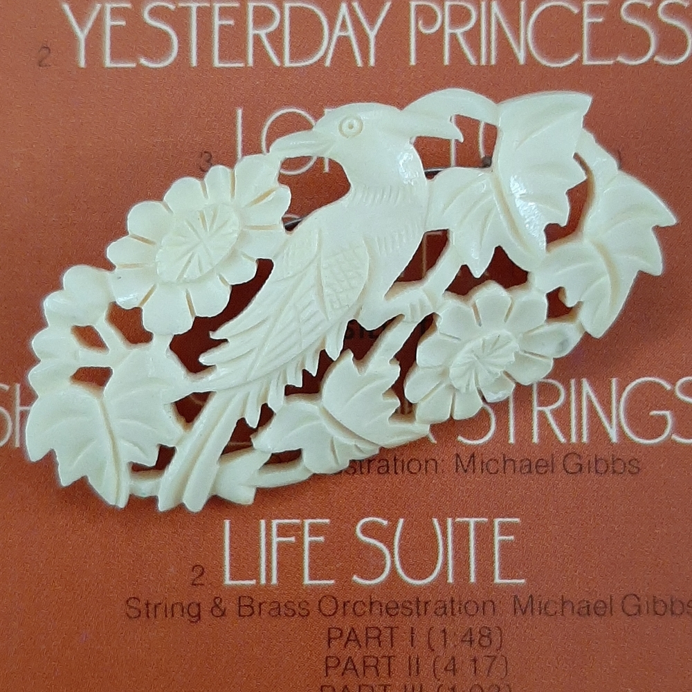 Vintage • celluloid bird pin brooch
